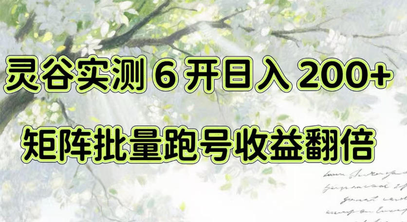 一台电脑就能做!灵谷实测6开日入200+,矩阵批量跑号收益翻倍【揭秘】-驿想项目网