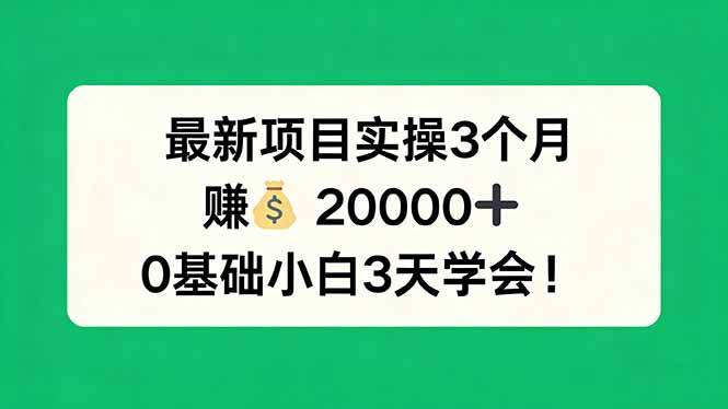 （17856期）最新项目实操3个月，赚钱20000+，0基础小白3天学会！-驿想项目网