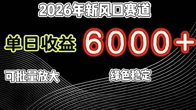 （17135期）2026年新风口赛道，当日6000+以上，可批量放大，月收入20万+，长期绿色稳定的项目-驿想项目网