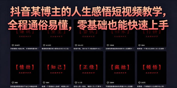 抖音某博主的灰太狼人生感悟短视频教学，全程通俗易懂，零基础也能快速上手-驿想项目网