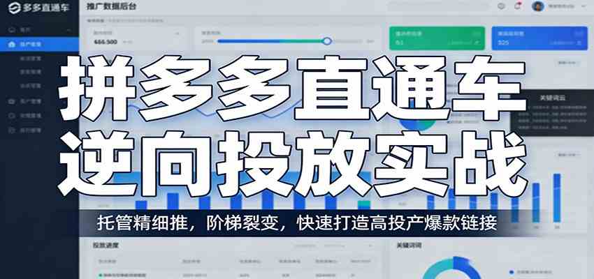 拼多多直通车逆向投放实战：托管精细推，阶梯裂变，快速打造高投产爆款链接-驿想项目网