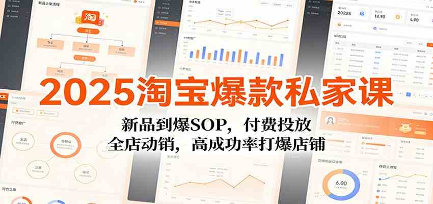 2025淘宝爆款私家课：新品到爆SOP，付费投放，全店动销，高成功率打爆店铺-驿想项目网