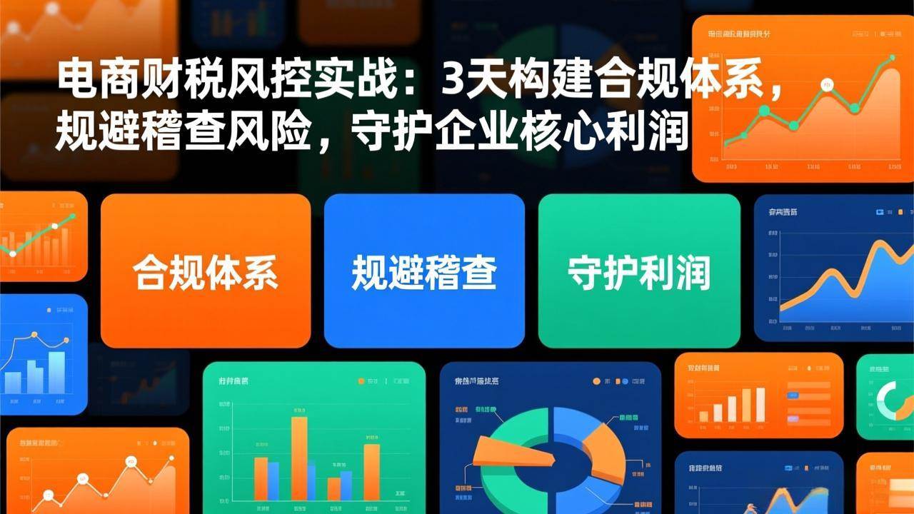 （17197期）电商财税风控实战：3天构建合规体系，规避稽查风险，守护企业核心利润-驿想项目网