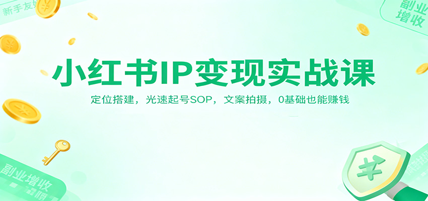 小红书IP变现实战课：定位搭建，光速起号SOP，文案拍摄，0基础也能赚钱-驿想项目网