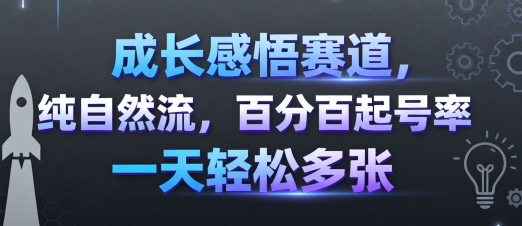 成长感悟赛道，纯自然流，百分百起号率 一天轻松多张-驿想项目网