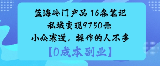 蓝海冷门产品：16条笔记私域变现9750米小众赛道，操作的人不多-驿想项目网