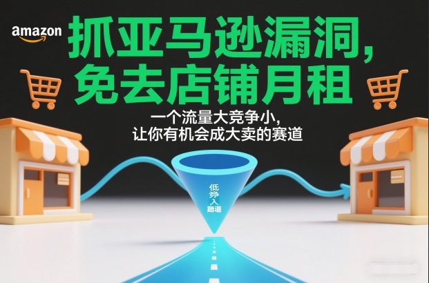 抓亚马逊漏洞，免去店铺月租，一个流量大竞争小，让你有机会成大卖的赛道-驿想项目网