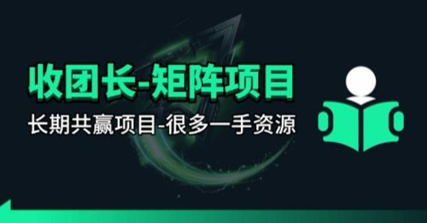【团长合作】视频矩阵项目_招发手矩阵+剪辑师,共赢项目【揭秘】-驿想项目网