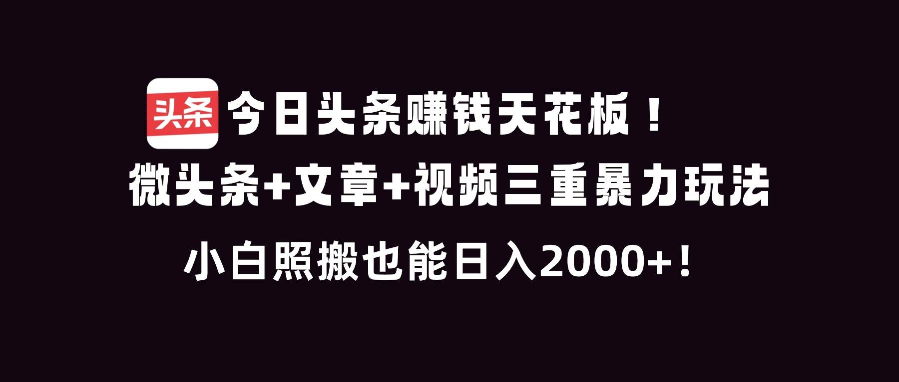 （16888期）今日头条赚钱天花板！微头条+文章+视频三重暴利玩法，小白照搬也能日人2000+-驿想项目网