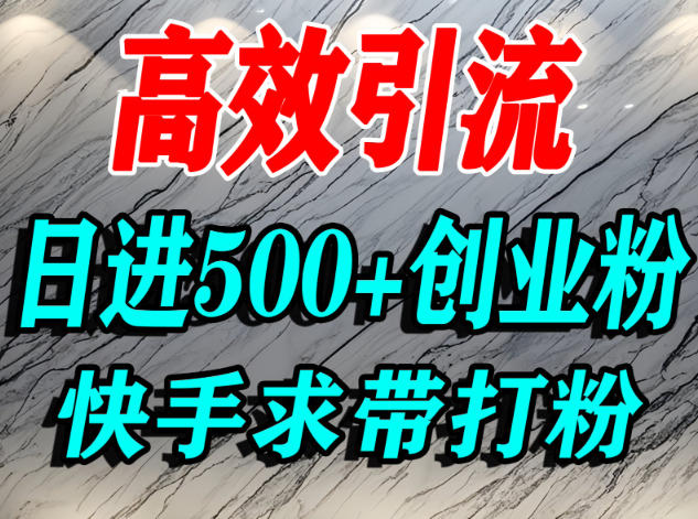 怎么打创业粉?快手求带视角精准引流创业粉,宝妈、学生群体日进500+精准流量-驿想项目网