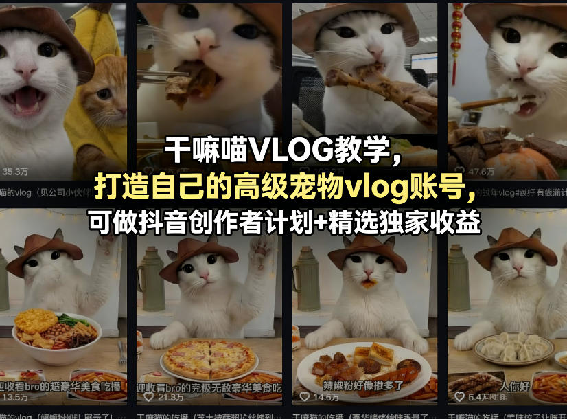 干嘛喵VLOG教学，打造自己的高级宠物vlog账号，可做抖音创作者计划+精选独家收益-驿想项目网