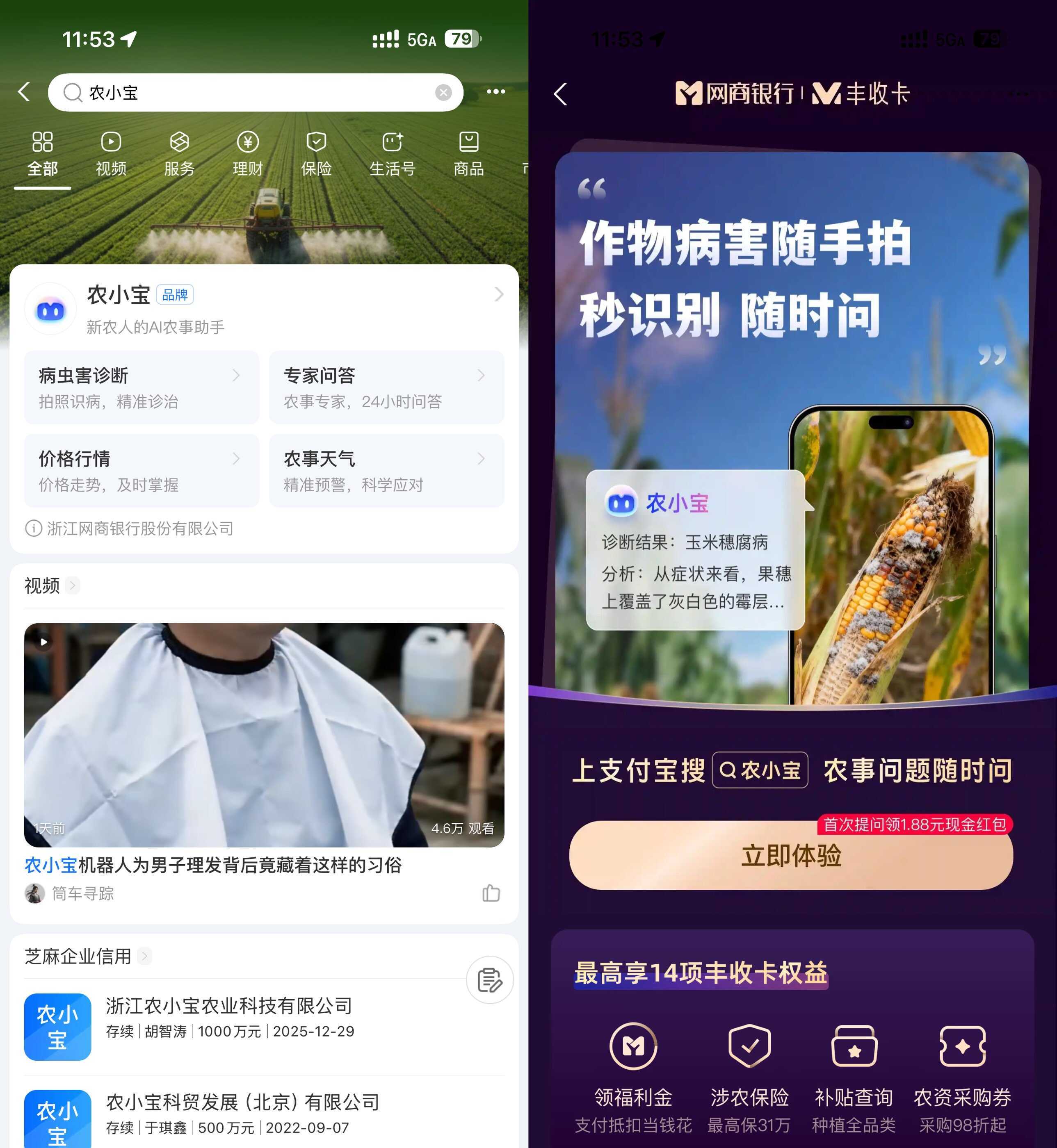 支付宝农小宝首次提问得1.88亓-驿想项目网
