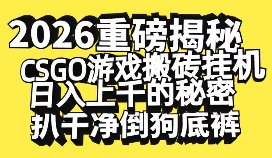 2026开年重磅解密，CSGO游戏搬砖挂机日入上千的秘密，把倒狗的底裤扒干-驿想项目网