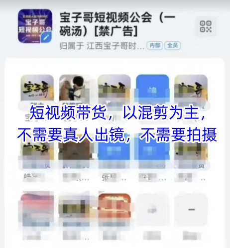 宝子哥头部团队短视频带货，以混剪为主，不需要真人出镜，不需要拍摄【更新26年3月】-驿想项目网