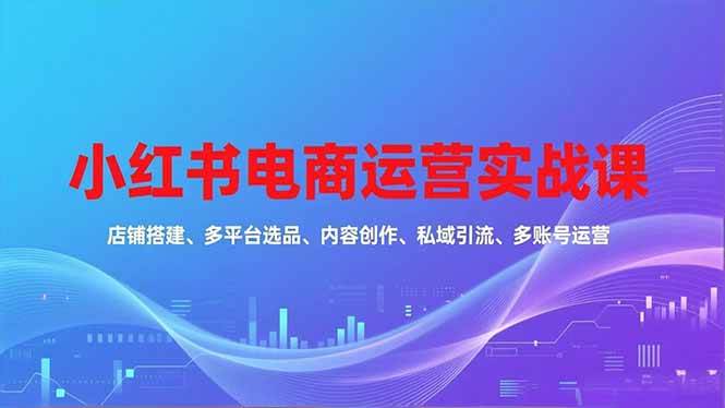 (16695期)小红书电商运营实战课,店铺搭建、多平台选品、内容创作、私域引流、多账号运营等玩法-驿想项目网