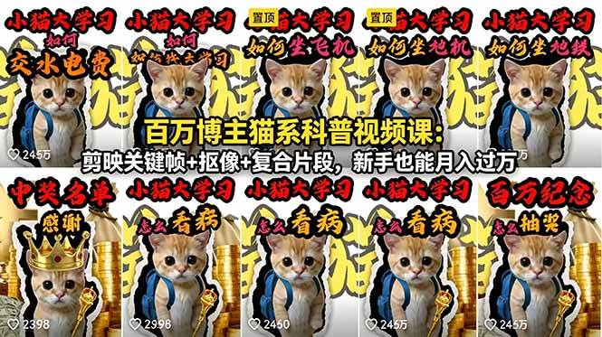 （18595期）百万博主猫系科普视频课：剪映关键帧+抠像+复合片段，新手也能月入过万-驿想项目网