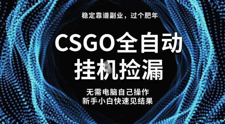 【稳定副业】全球最热门游戏CSGO全自动捡漏，最新玩法，新手小白日入5张+【揭秘】-驿想项目网