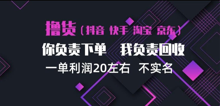 抖音淘宝快手买手项目，一单利润20左右，单号每天下三单，可矩阵【揭秘】-驿想项目网