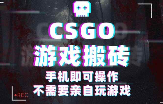 （16090期）CSGO游戏挂机捡漏，单日扫货500+，年底小高峰上车可吃肉，手机即可操作…-驿想项目网